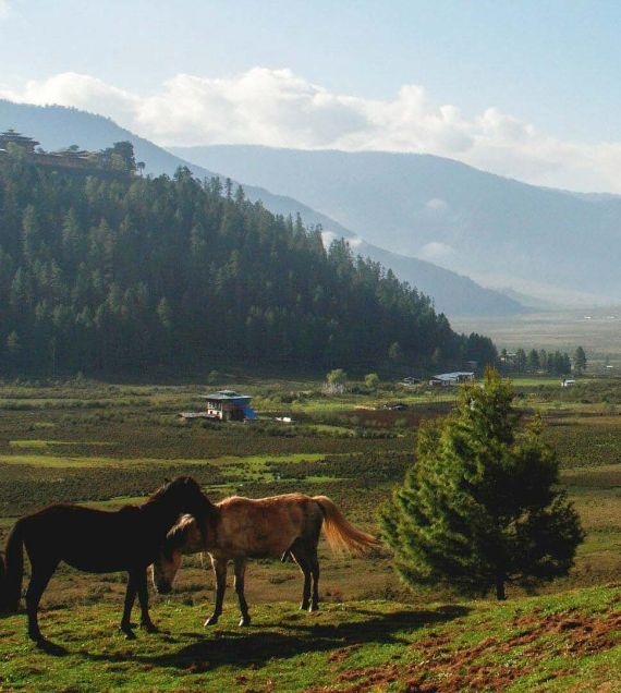 Phobjikha Valley, Bhutan