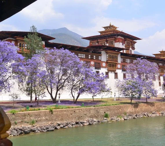 Bhutan 5 Days 4 Nights Tour